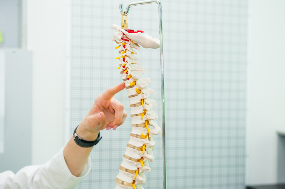 Spinal Treatment